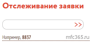 Mfc ru проверить статус документа